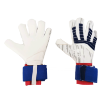 AD Blue Predator Pro Goalkeeper Gloves