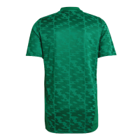 Algeria Soccer Jersey Away (Player Version) 2021