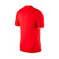 China Soccer Jersey Home (Player Version) 2021