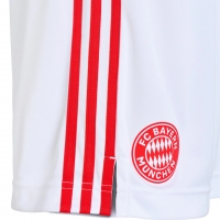 Bayern Munich Soccer Jersey Third Away Kit (Jersey+Short) Replica 2021/22