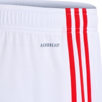 Bayern Munich Soccer Jersey Third Away Whole Kit (Jersey+Short+Socks) Replica 2021/22