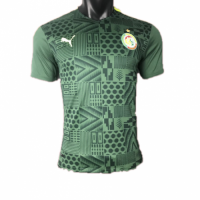 Senegal Soccer Jersey Away (Player Version) 2022