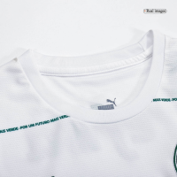 SE Palmeiras Soccer Jersey Away Replica 2022/23