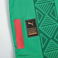 Chivas Soccer Jersey "Mexico" Special Replica 2022/23