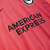 Brighton & Hove Albion Away Jersey Replica 2022/23
