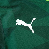 SE Palmeiras Home Jersey Player Version 2023/24