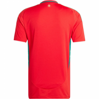 Wales Home Jersey 2024