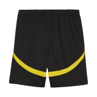 Borussia Dortmund Home Kit(Jersey+Shorts) 2024/25