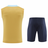 France Pre-Match Sleeveless Kit Yellow Euro 2024