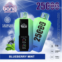 10pcs Bang B10 25K Puffs Disposable Vape