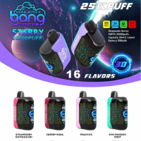 10pcs Bang B9 25K Puffs Disposable Vape