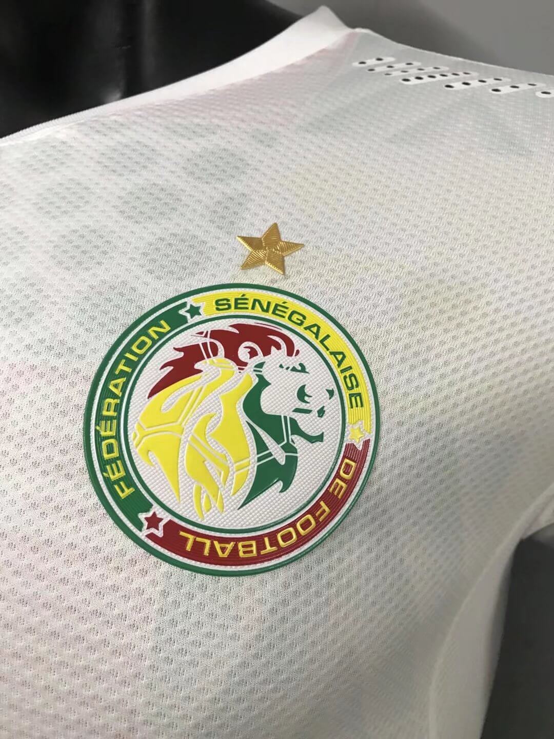 Senegal Soccer Jersey Home (Player Version) 2022