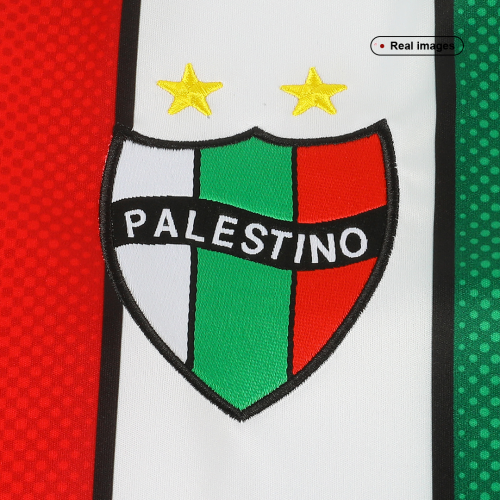 Palestino Deportivo Soccer Jersey Replica Home Mens 2022/23, Wholesale Club  Deportivo Palestino Soccer Jerseys, Replica Club Deportivo Palestino  Soccer Jerseys…