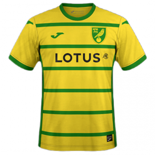 norwich city jersey