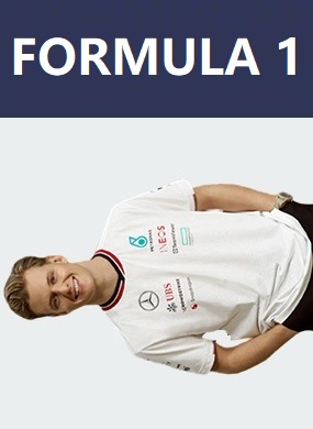 Formula 1 Shirts