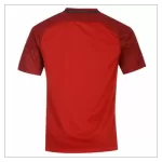 Retro Portugal Home Jersey Euro Cup 2016 - minejerseys