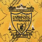 Retro Liverpool Third Jersey 1995/96 - minejerseys