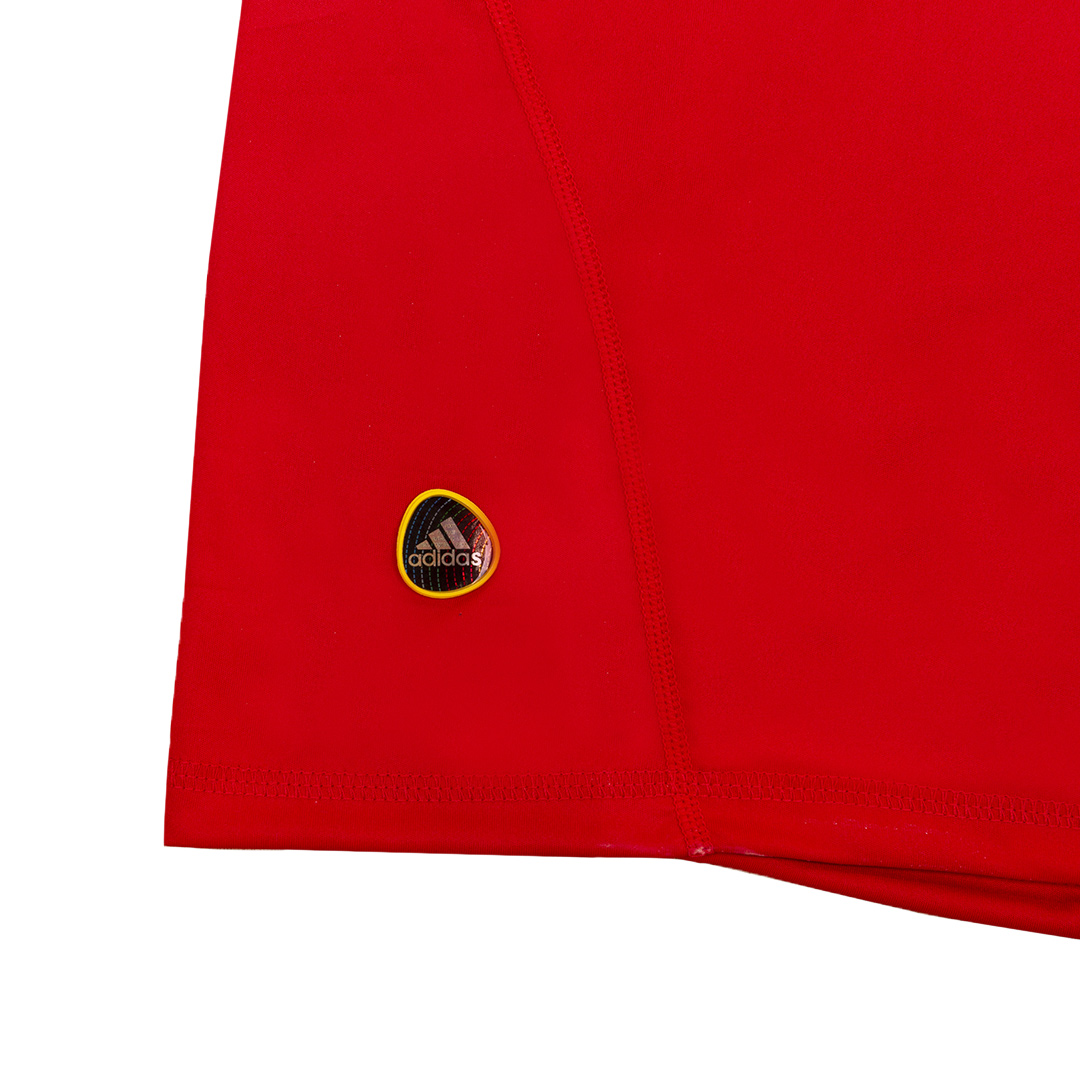 Andres Iniesta x Retro Spain Home Jersey 2010 - Image 8