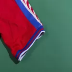 Retro Czech Republic Home Jersey 1996 - minejerseys