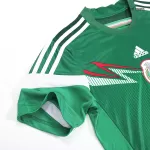 Retro Mexico Home Jersey World Cup 2014 - minejerseys