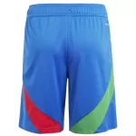 Italy Away Shorts EURO - minejerseys