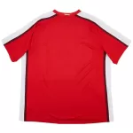 Retro Arsenal Home Jersey 2008/10 - minejerseys