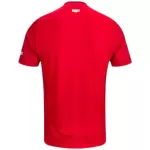 Nottingham Forest Home Jersey - minejerseys