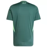 Algeria Away Jersey - minejerseys