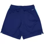Arsenal Third Soccer Shorts - minejerseys