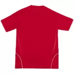 Retro Spain Home Jersey 2008 - minejerseys