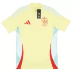 Spain Away Jersey EURO - minejerseys