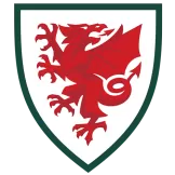 Wales - minejerseys