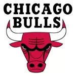 Chicago Bulls - minejerseys