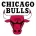 Chicago Bulls - minejerseys