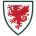 Wales - minejerseys