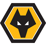 Wolves - minejerseys