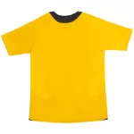 Fabregas #15 Retro Arsenal Away Jersey 2005/06 - minejerseys