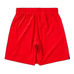 PSG Third Soccer Shorts 2025/26 - minejerseys