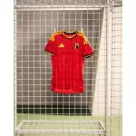 Belgium Home Match Jersey Player Version World Cup 2026 - minejerseys