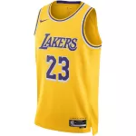 Unisex Los Angeles Lakers LeBron James #23 Gold Swingman Jersey - Icon Edition - minejerseys