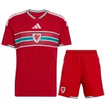 Wales Home Jersey Kit World Cup 2026 - minejerseys