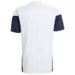 Argentina Pre-Match Training Jersey World Cup 2026 - minejerseys