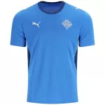 Iceland Home Jersey 2026 - minejerseys