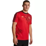 Manchester United Cultural Story Jersey 2025/26 - minejerseys