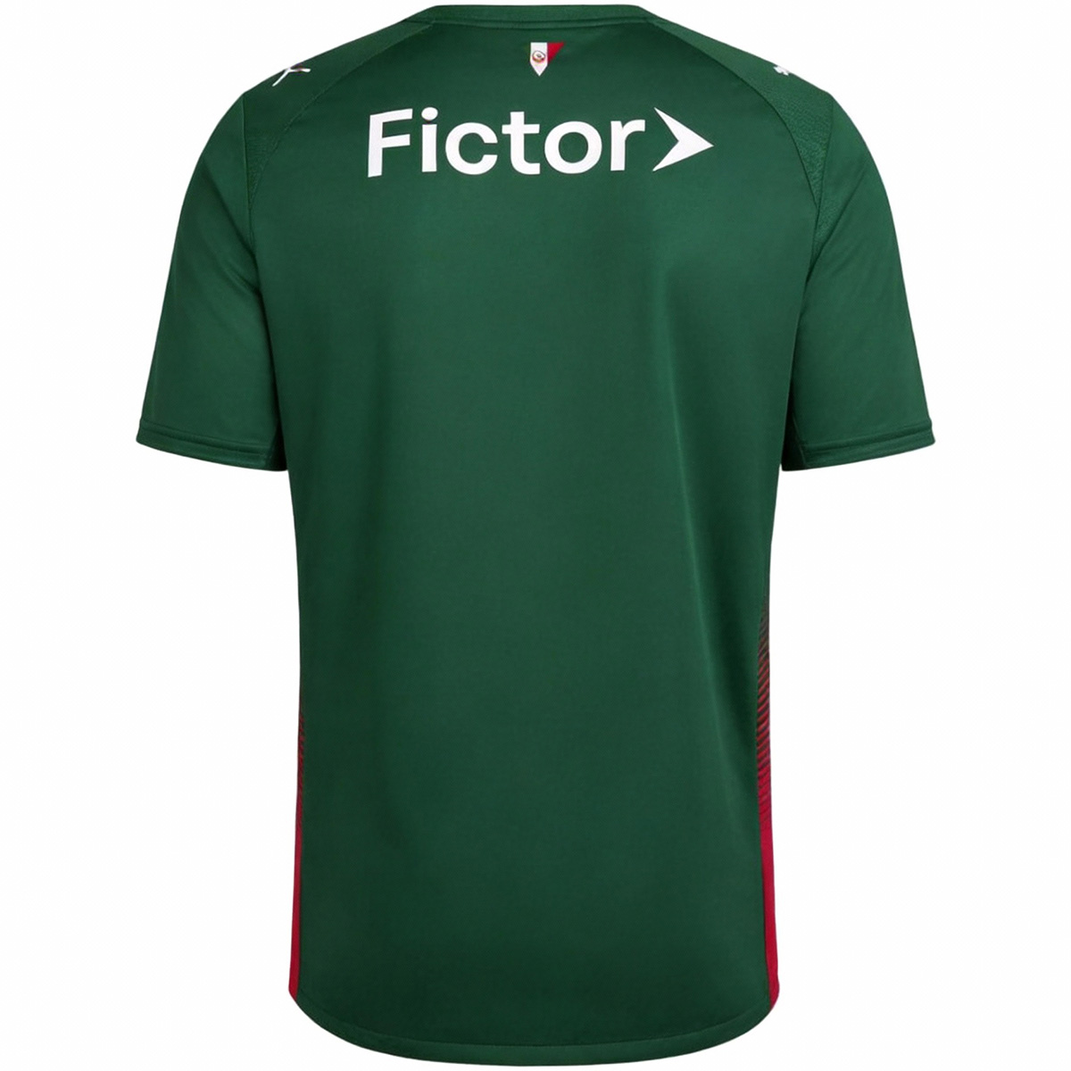 SE Palmeiras Home Jersey 2026 - Image 4