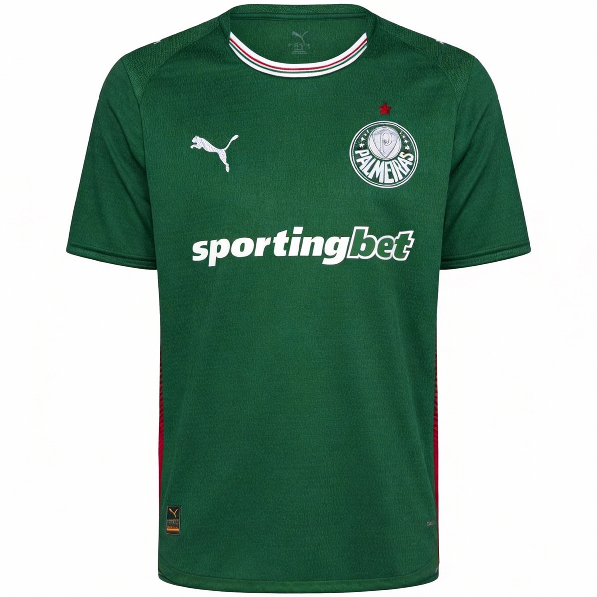SE Palmeiras Home Jersey 2026 - Image 3