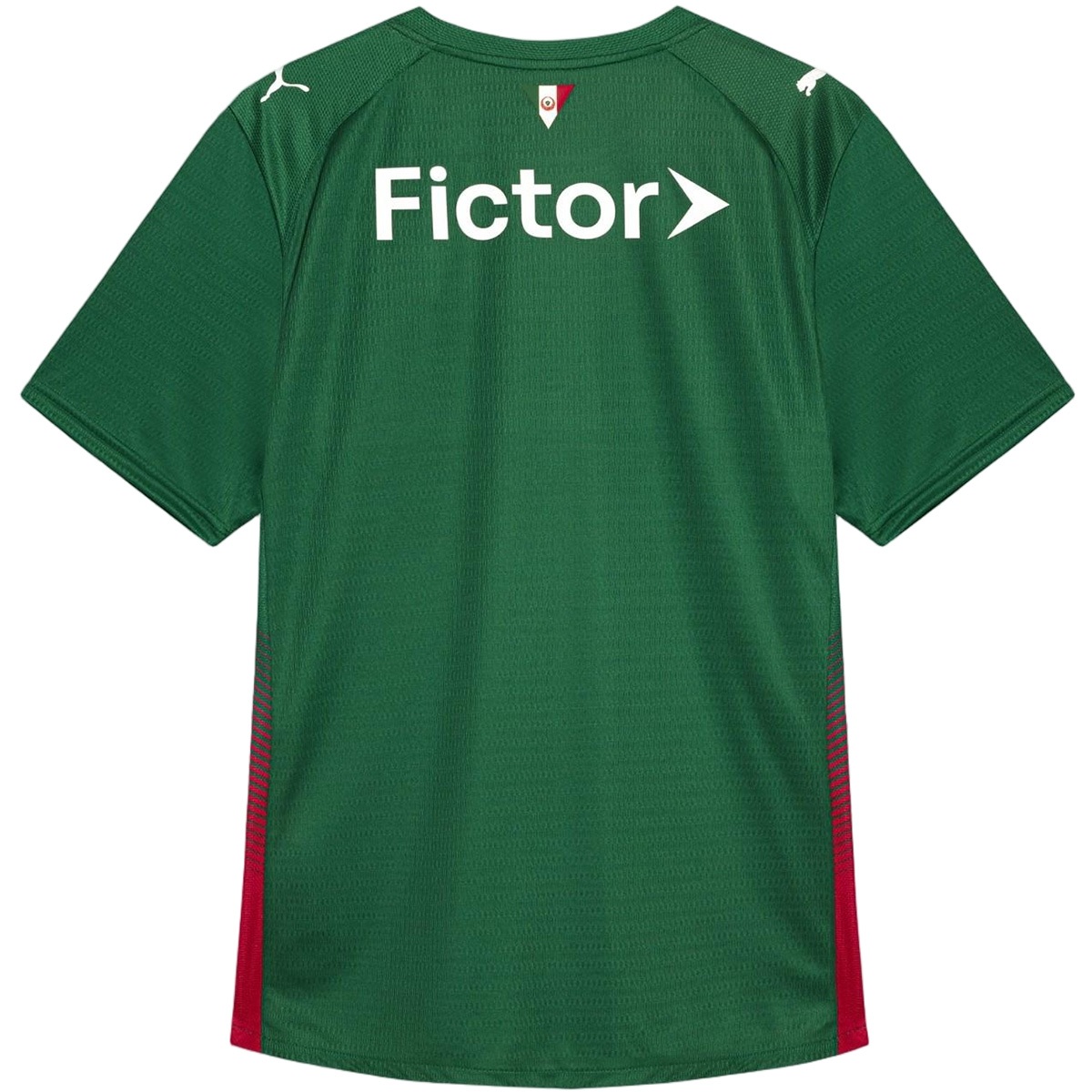 SE Palmeiras Home Jersey 2026 - Image 6