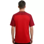 Retro Portugal Home Jersey Euro Cup 2016 - minejerseys