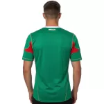Retro Mexico Home Jersey World Cup 2010 - minejerseys
