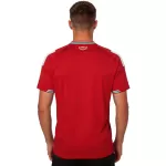Wales Home Jersey World Cup 2026 - minejerseys